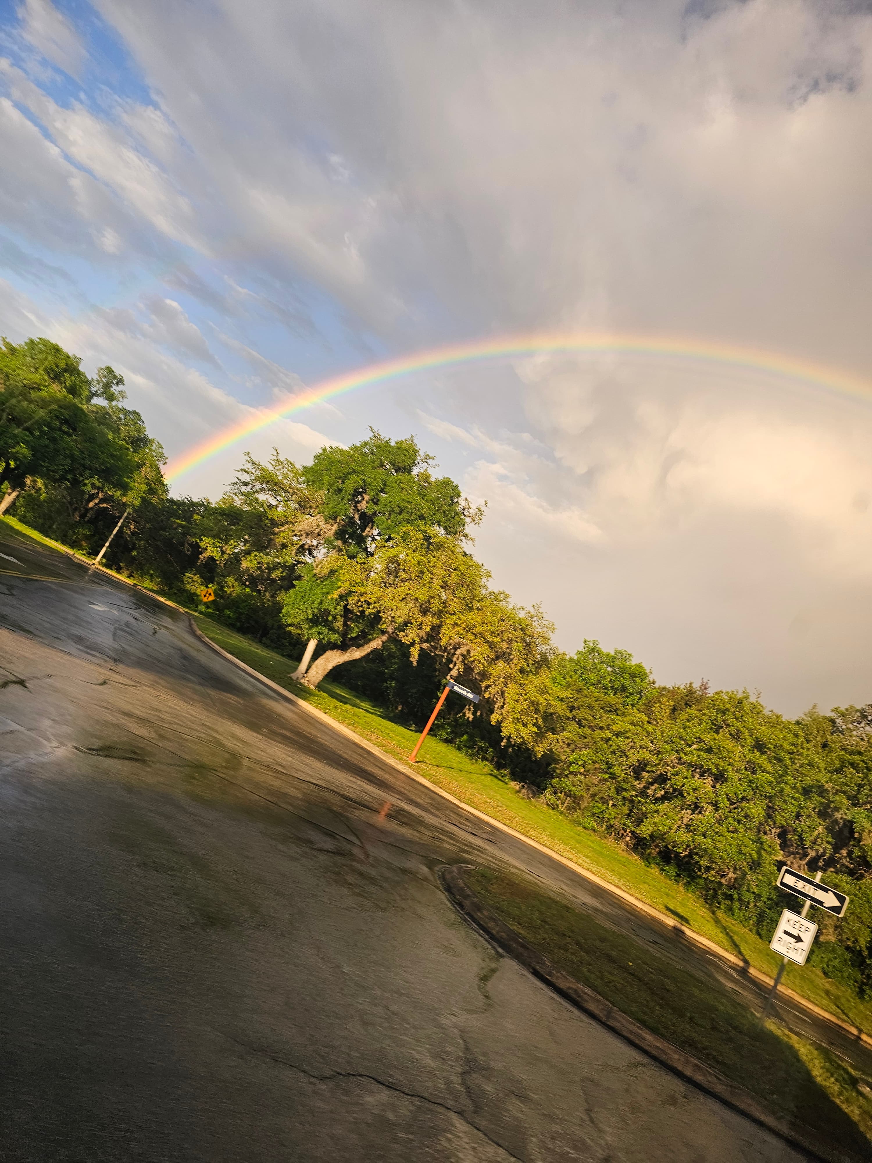 A rainbow over a wet road, large trees, and street signs.