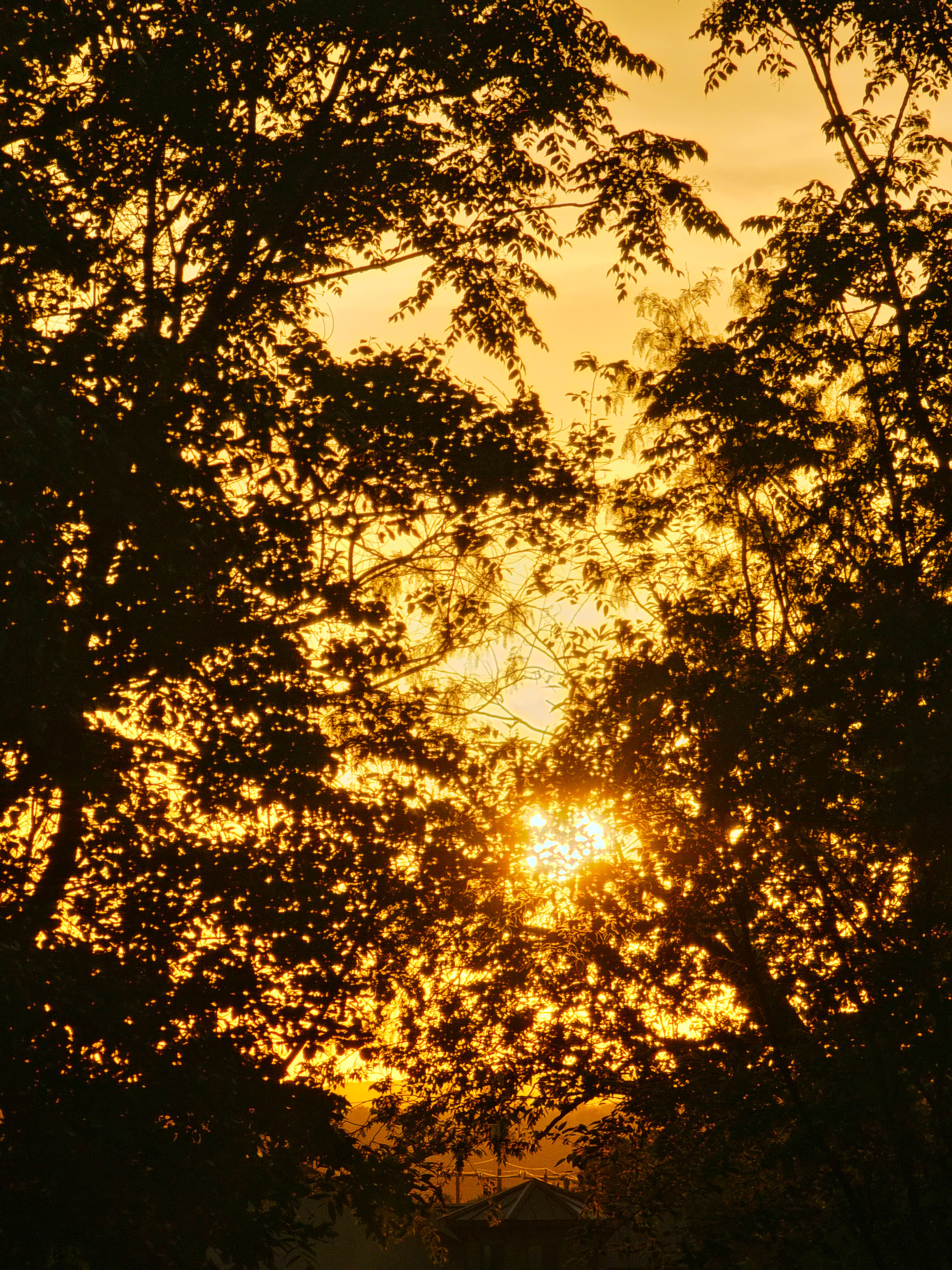 A photo Anudeep took